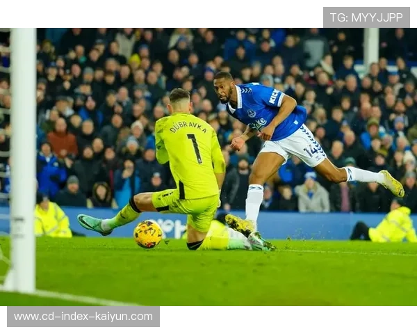 埃弗顿1-0纽卡斯尔，皮克福德扑救，勒温缺阵影响锋线